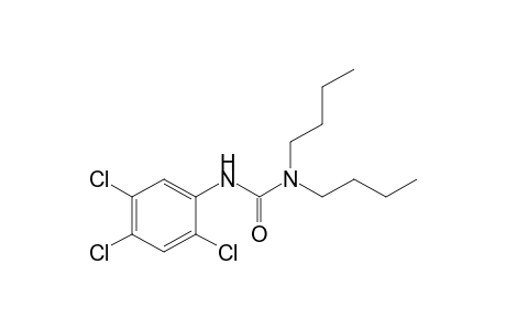 1,1-dibutyl-3-(2,4,5-trichlorophenyl)urea