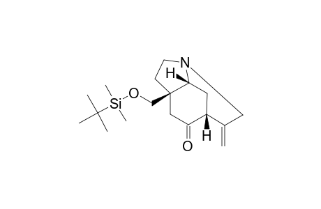 (1RS,7RS,8RS)-7-[(TERT.-BUTYLDIMETHYLSILYOXY)-METHYL]-2-METHYLENE-4-AZATRICYCLO-[5.2.2.0(4,8)]-UNDECAN-10-ONE