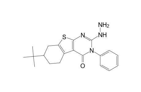 7-tert-butyl-2-hydrazino-3-phenyl-5,6,7,8-tetrahydro[1]benzothieno[2,3-d]pyrimidin-4(3H)-one