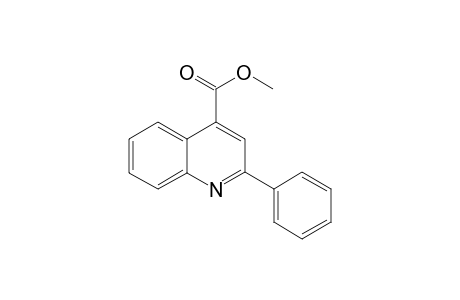 2-phenyl-4-quinolinecarboxylic acid, methyl ester