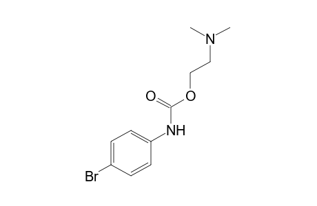 p-bromocarbanilic acid, 2-(dimethylamino)ethyl ester