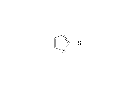 Thiophene-2-thiol