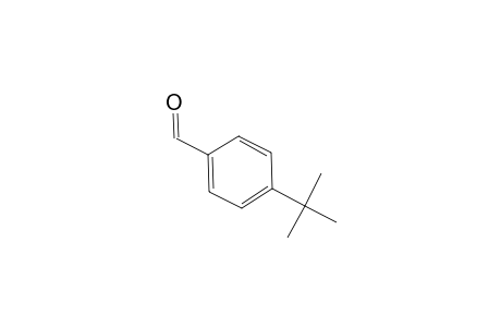 4-tert-Butylbenzaldehyde