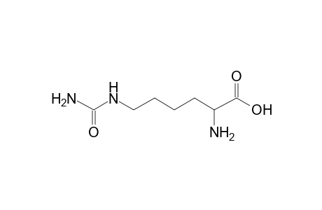 L-Homocitrulline