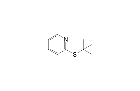 2-(tert-BUTYLTHIO)PYRIDINE