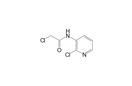 2-chloro-N-(2-chloro-3-pyridyl)acetamide