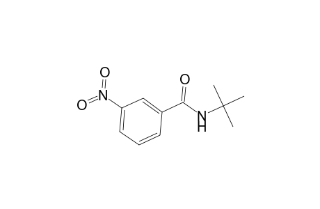 Benzamide, N-(1,1-dimethylethyl)-3-nitro-