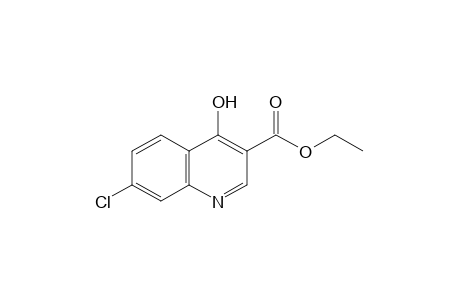 7-chloro-4-hydroxy-3-quinolinecarboxylic acid, ethyl ester