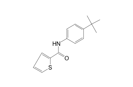 4'-tert-butyl-2-thiophenecarboxanilide