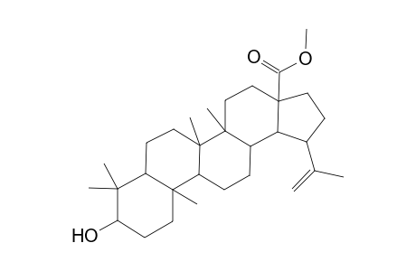 Betulic acid, methyl ester