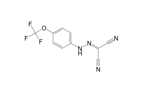 FCCP