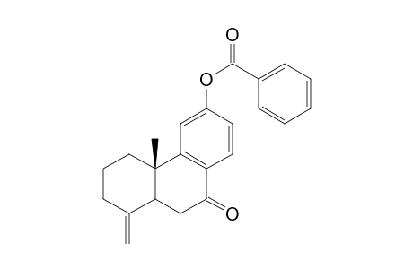 7-Oxo-19-norpodocarpa-4(18),8,11,13-tetraen-12-yl Benzoate