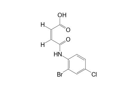 2'-bromo-4'-chloromaleanilic acid