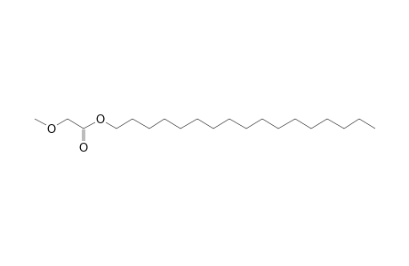 Methoxyacetic acid, heptadecyl ester