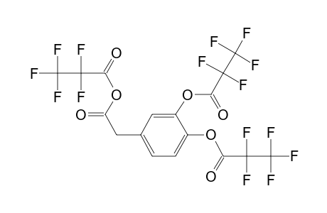 3,4-di(Pentafluoropropionyloxy)phenylacetic acid, pentafluoropropionic acid anhydride