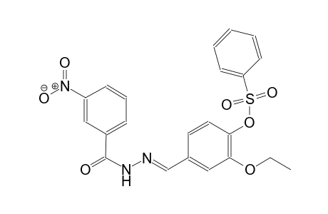 2-ethoxy-4-{(E)-[(3-nitrobenzoyl)hydrazono]methyl}phenyl benzenesulfonate