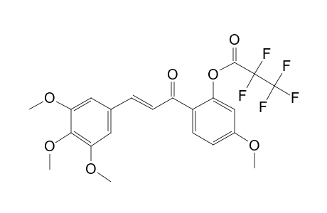 2'-Hydroxy-3,4,4',5-tetramethoxychalcone, pentafluoropropionate