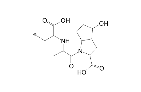 Ramiprilate-M (HO-) MS3_1