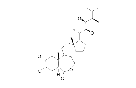 BRASSINOLIDE;BL