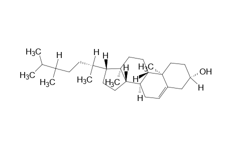 24-methyl Cholesterol