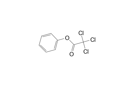 Phenyl trichloroacetate