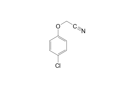 4-Chlorophenoxyacetonitrile