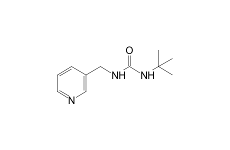 1-tert-butyl-3-[(3-pyridyl)methyl]urea