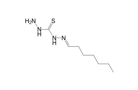 1-heptylidene-3-thiocarbohydrazide