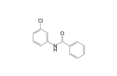 3'-Chloro-benzanilide