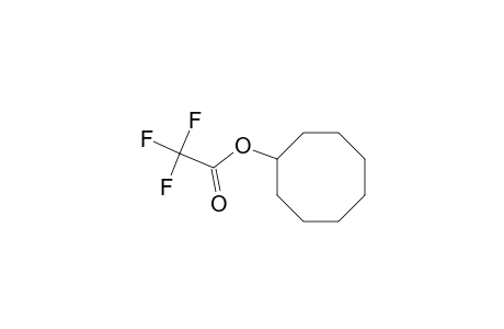 TRIFLUOROACETIC ACID, CYCLOOCTYL ESTER