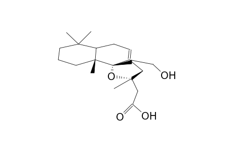 17-OXYGRINDELIC ACID