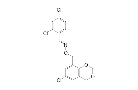 2,4-DICHLOROBENZALDEHYDE, O-[(6-CHLORO-1,3-BENZODIOXAN-8-YL)METHYL]OXIME