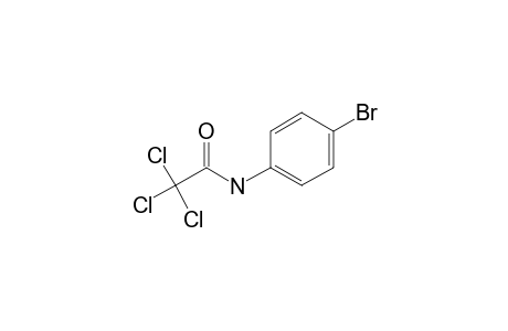 Acetamide, N-(4-bromophenyl)-2,2,2-trichloro-