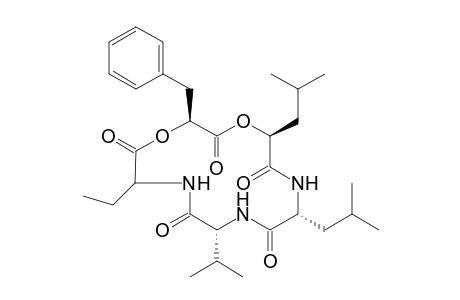 (R)-Dihydroxyphomalide [cyclo(val-(R)-abu-hpp-hmp-(R)-leu)]