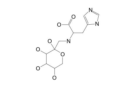 ARP GLUHIS(beta P)