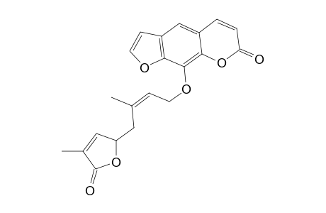 Wampetin (dehydroindicolactone)