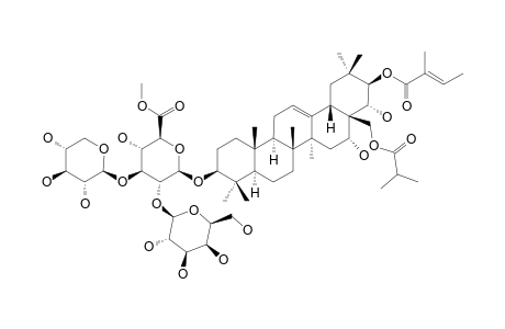 BARRINGTOSIDE-B;#2';BARRIGTOGENOL-C-21-O-TIGLOYL-28-O-ISOBUTYRYL-3-O-BETA-D-XYLOPYRANOSYL-(1->3)-[BETA-D-GALACTOPYRANOSYL-(1->2)]-BETA-D-GLUCURONOPYRANOSIDE-ME