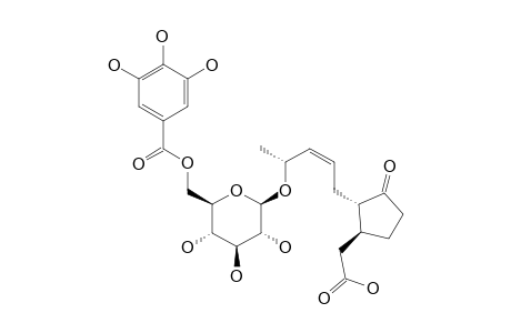 JAMUTANNIN_A;5-(5-CARBOXYMETHYL-2-OXOCYCLOPENTYL)-3-Z-2-S-PENTENYL-BETA-(6-O-GALLOYL)-GLUCOPYRANOSIDE