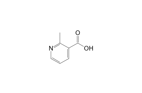 2-Methylnicotinic acid