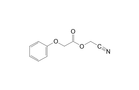 Phenoxyacetic acid, cyanomethyl ester