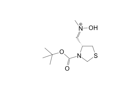 N-Methyl-N-[N'-(butoxycarbonyl)thiazolidine-4-ylmethylene)hydroxyamine