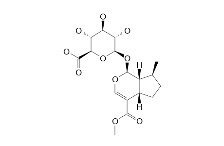 6'-CARBOXY-7-DEOXY-LOGANIN