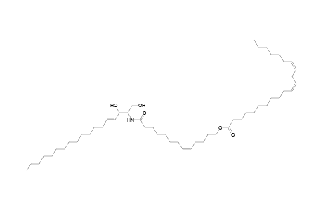 Cer 18:1;2O/13:1;O(FA 21:2)