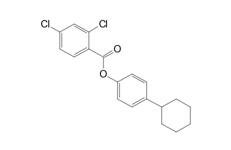 2,4-DICHLOROBENZOIC ACID, p-CYCLOHEXYLPHENYL ESTER