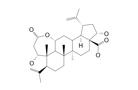 22-ALPHA-HYDROXYCHIISANOGENIN;1(R),11-ALPHA,22-ALPHA-TRIHYDROXY-3,4-SECO-LUPA-4(23),20(29)-DIENE-3,28-DIOIC-ACID