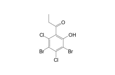 3',5'-dibromo-2',4'-dichloro-6'-hydroxypropiophenone