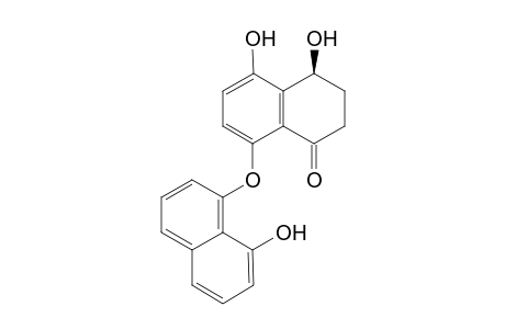 (4S)-4,5-dihydroxy-8-[(8-hydroxy-1-naphthyl)oxy]-3,4-dihydro-1(2H)-naphthalenone