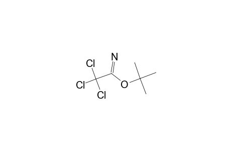 tert-Butyl 2,2,2-trichloroacetimidate