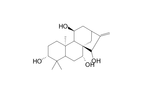 3.alpha.,7.alpha.,11.beta.,15.beta.-Tetrahydroxy-(ent)-Kaurane