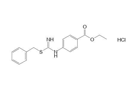 p-{[1-(benzylthio)formimidoyl]amino}benzoic acid, ethyl ester monohydrochloride